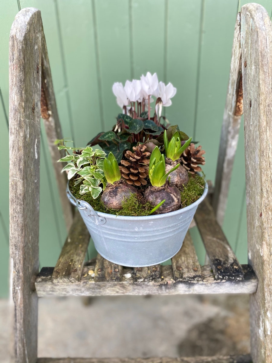 White Planter